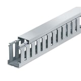 3445573.jpg
