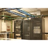 2918988_5.jpg