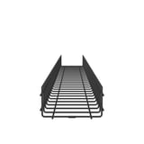 3606255.JPG