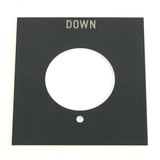 2768870.JPG