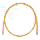 2520275.jpg