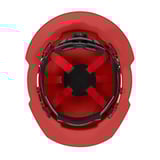 3679963_7.jpg