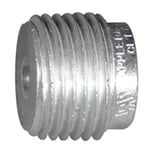 495469.jpg