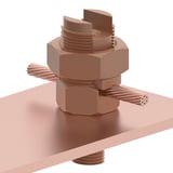 539264_4.jpg