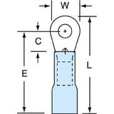 2374510.jpg