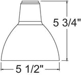 3102390.JPG