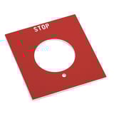 2321575.JPG