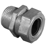 491620.jpg