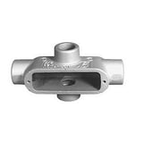 2335736.jpg