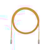 2980042.jpg