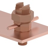 539264_2.jpg