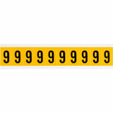 1862381.jpg