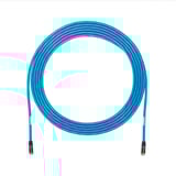 2985499.jpg