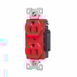 3261830.jpg