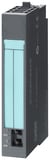 3304034.jpg