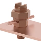 539264_5.jpg