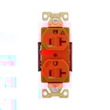 3263841.jpg