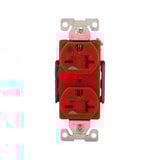 3261858.jpg