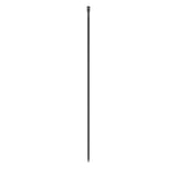 2279453.jpg