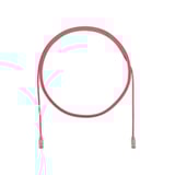 2979081.jpg