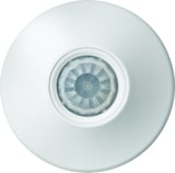 3115150_4.jpg