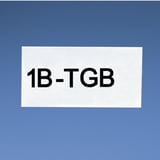 2977247.jpg