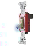 2921246.JPG