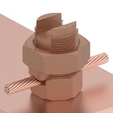 539264_3.jpg