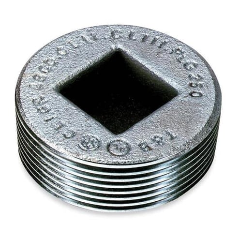 1964352.jpg
