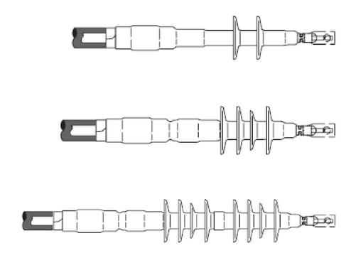 516470.jpg