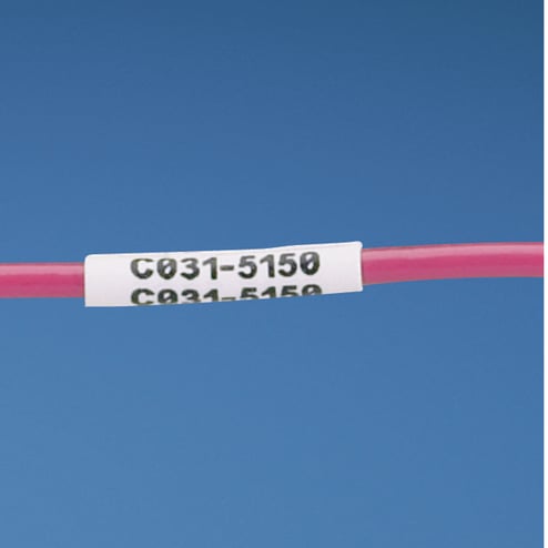 2967466.jpg