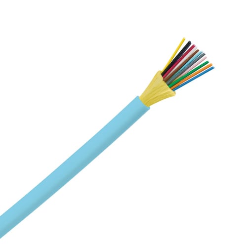 2955412.jpg