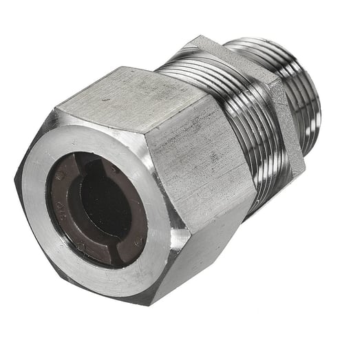 499029.JPG