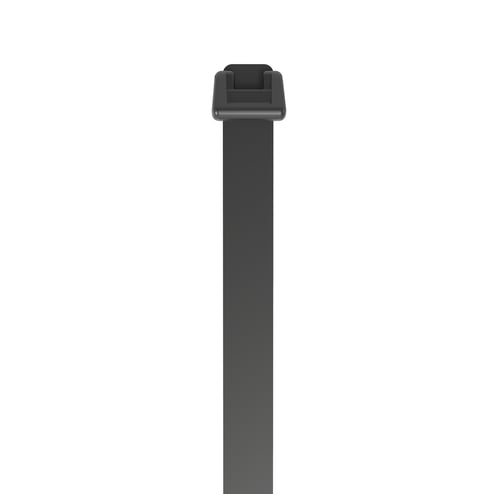 2943529.jpg