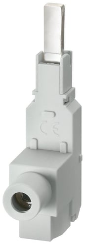 3594038.jpg