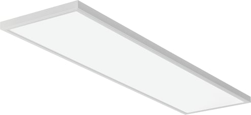 3554472.jpg