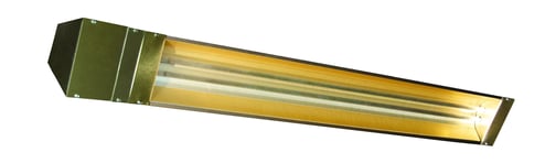 3496254.jpg
