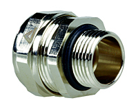 3318077.jpg