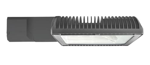 3259648.jpg