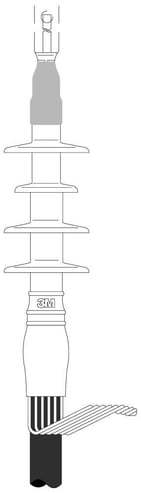 2580289.jpg
