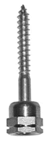 2379810.jpg