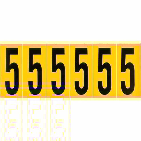 508905.jpg
