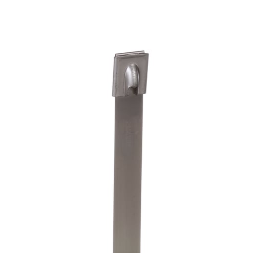2967099.jpg