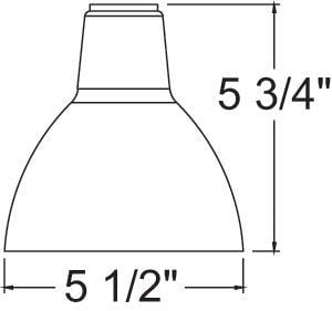 3102390.JPG