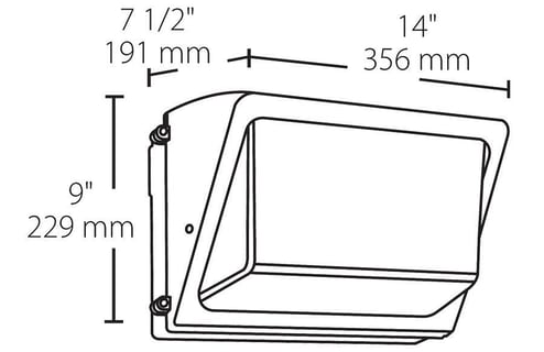 3291636.jpg