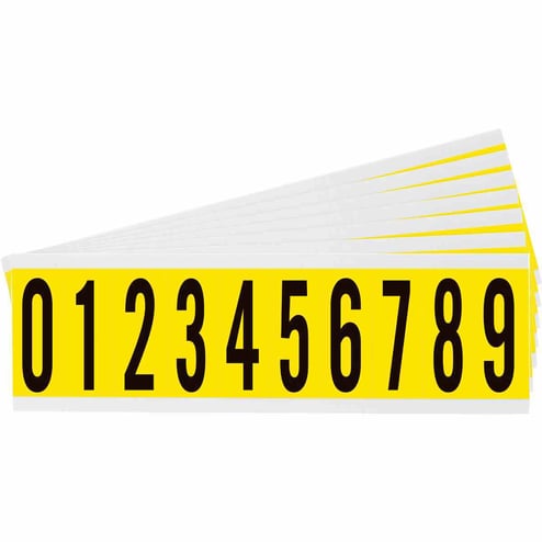 508923.jpg