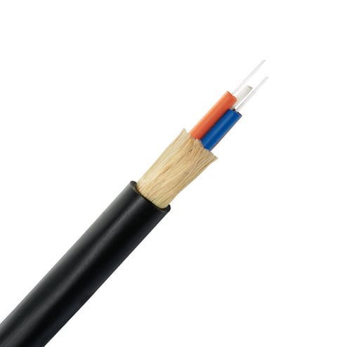 2955097.jpg