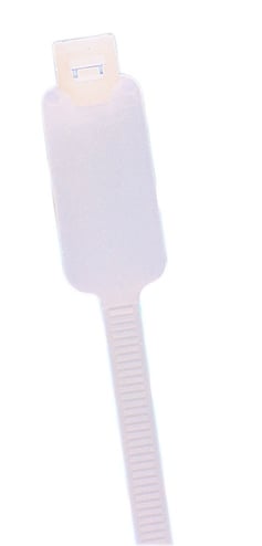 2915964.jpg