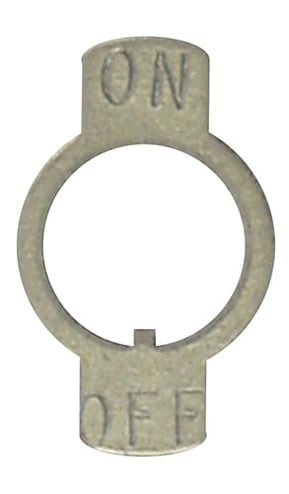 503621.jpg