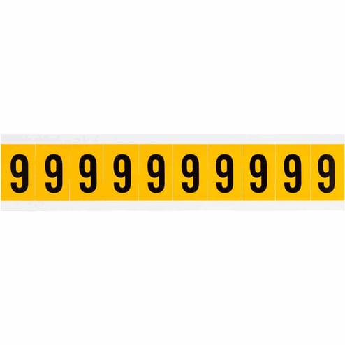 1862381.jpg